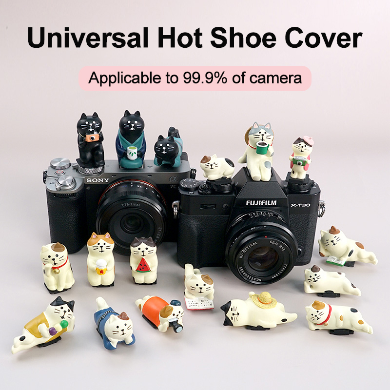 Крышка горячего башмака для ка – обзор и цена Canon Camera Eos R50